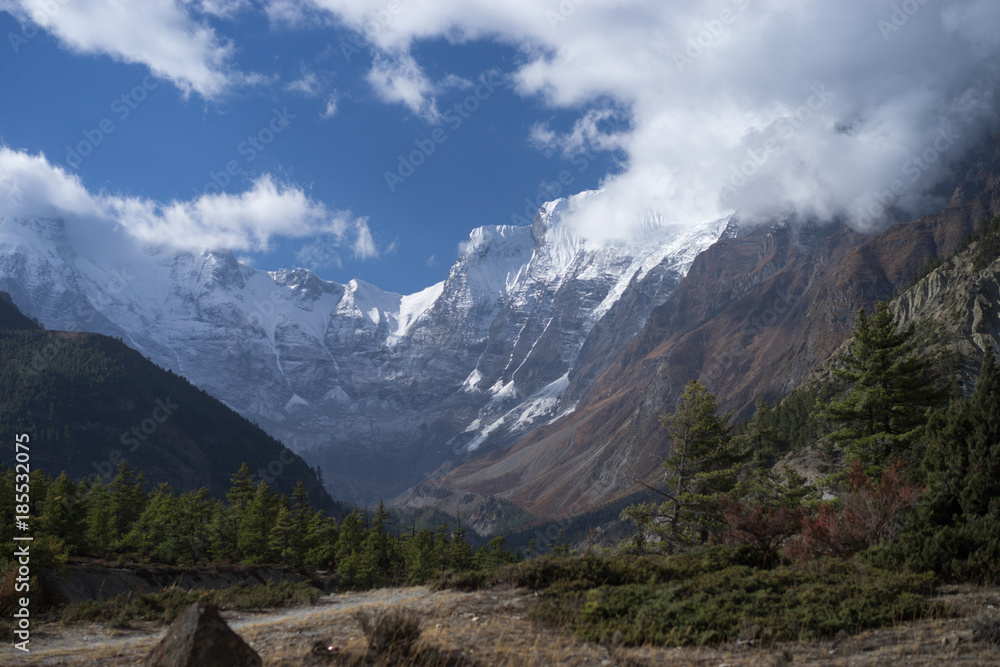 Peak and Forest in the Himalaya mountains, Annapurna region, Nepal