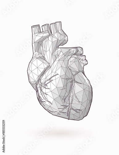 Low poly human heart graphic illustration on white BG