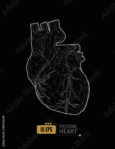 Low poly human heart wireframe graphic illustration on dark BG