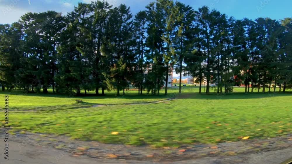 15884_The_green_trees_on_the_side_of_the_road.mov 15884_The_green_trees_on_the_side_of_the_road.mov