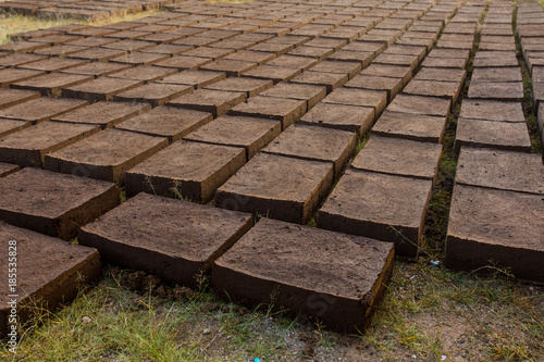 Drying adobe bricks photo
