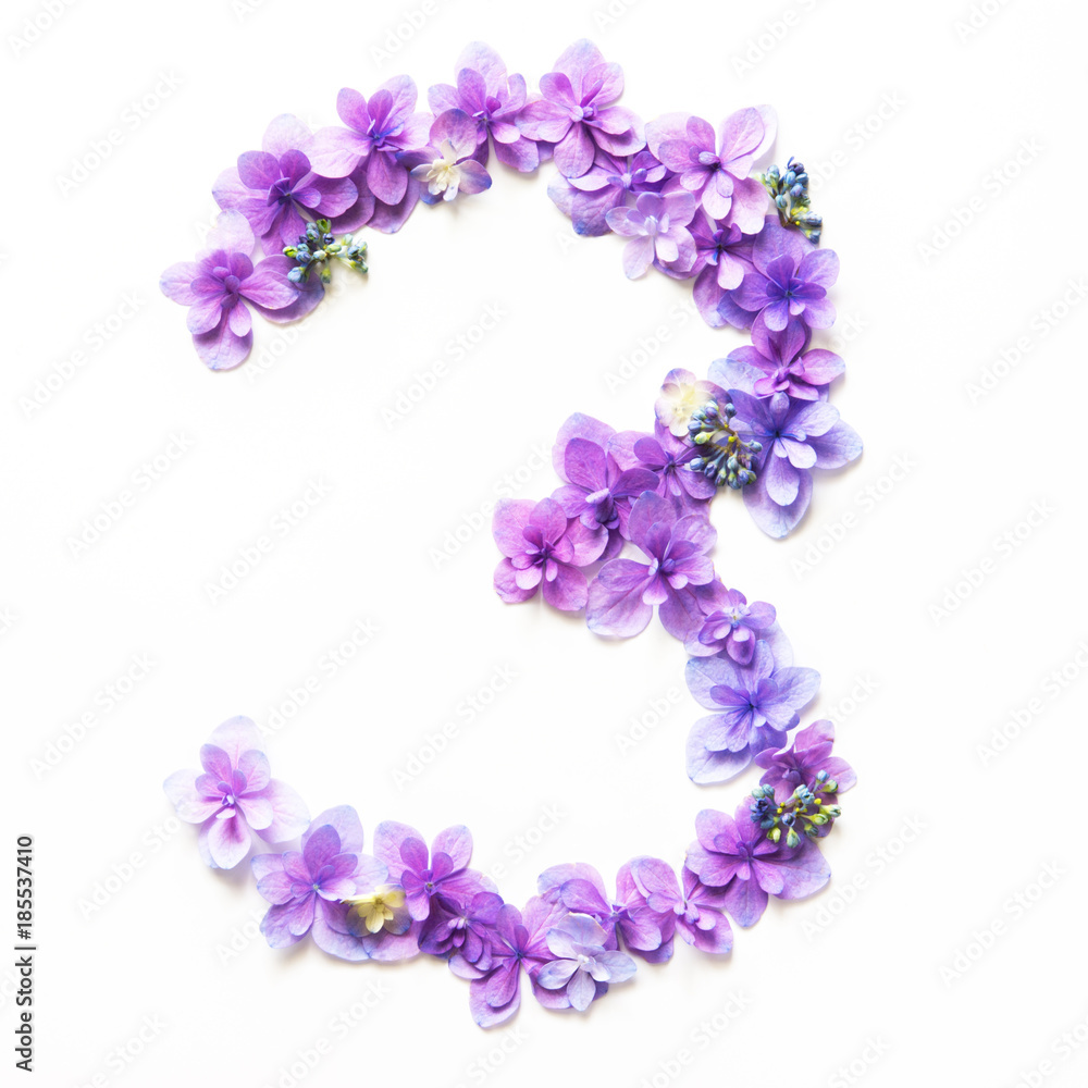 Flower number on a white background
Flower number on a white background