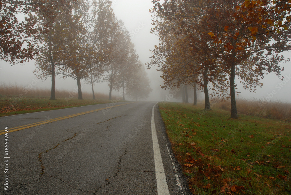 Fototapeta premium Autumn Lane