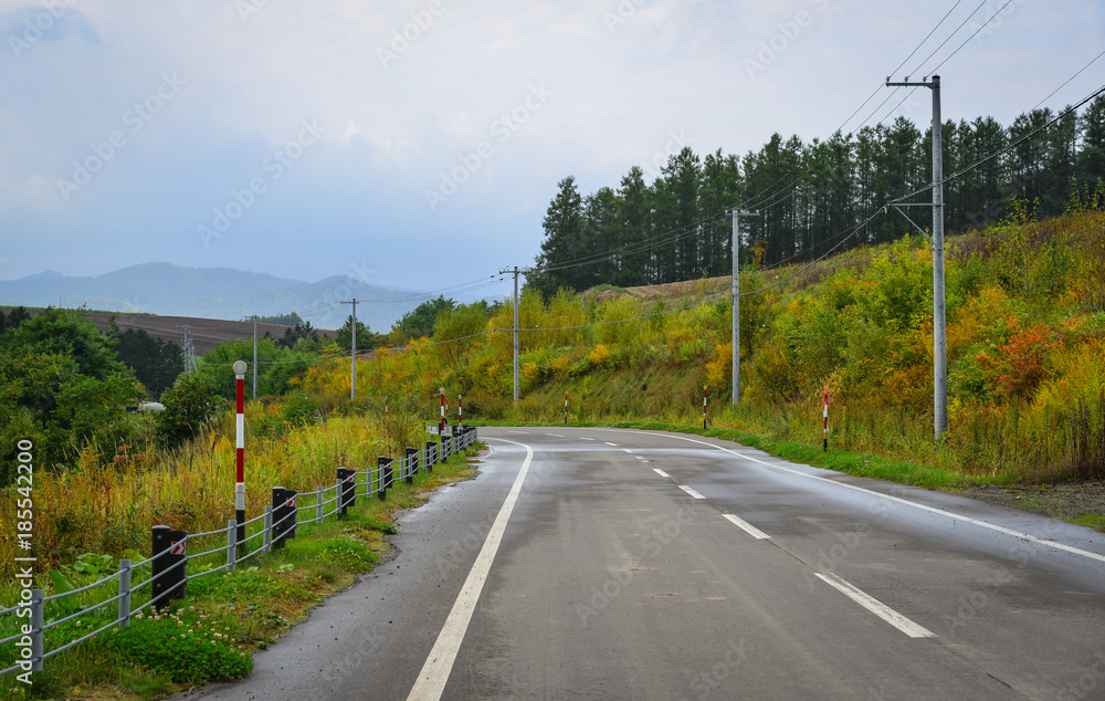 Rural road in Biei, Hokkaido, Japan