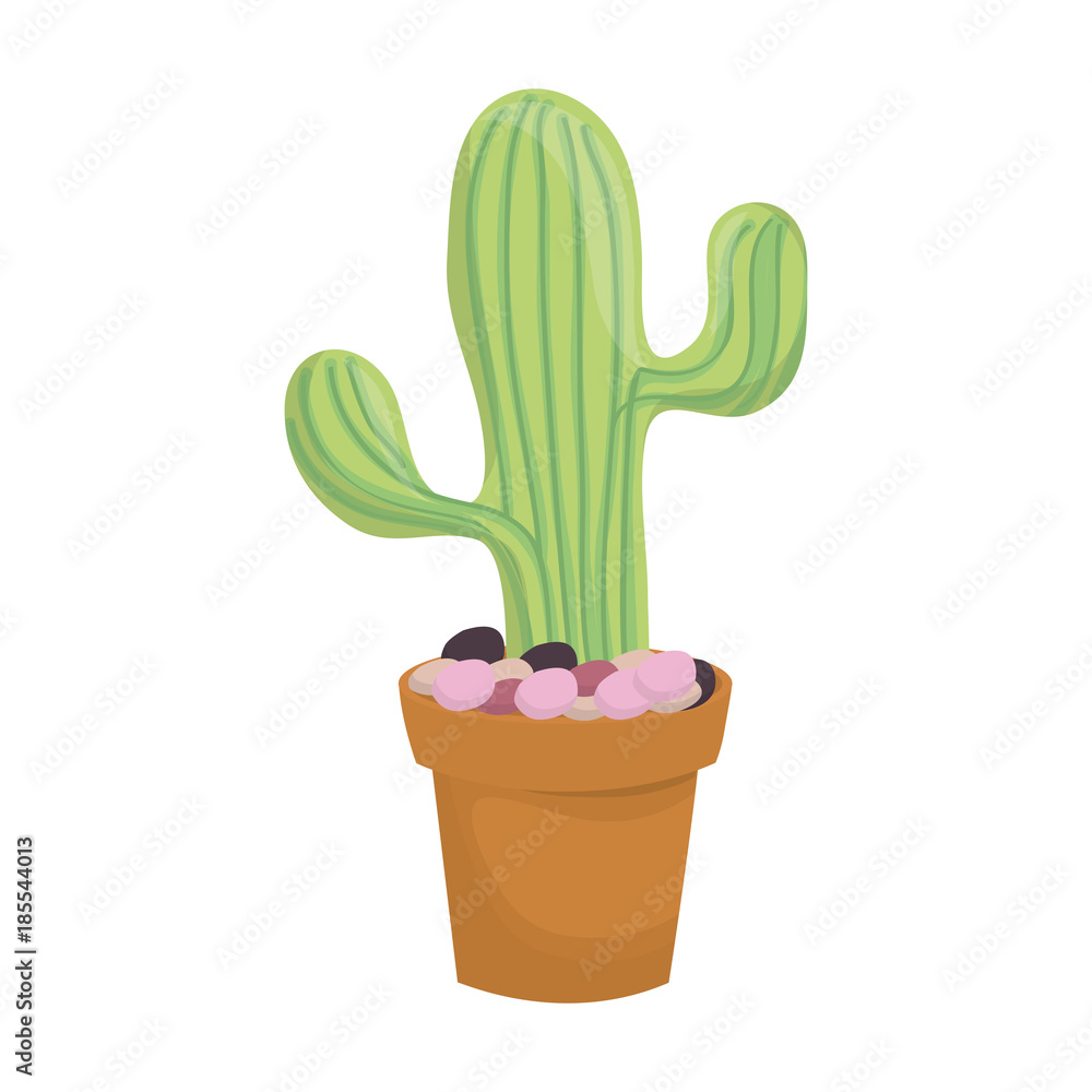 cactus in potted vector illustration cactus in potted vector illustration