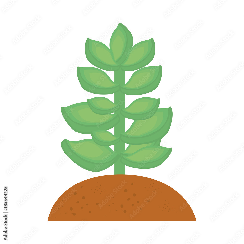 succulent in the soil vector illustration succulent in the soil vector illustration