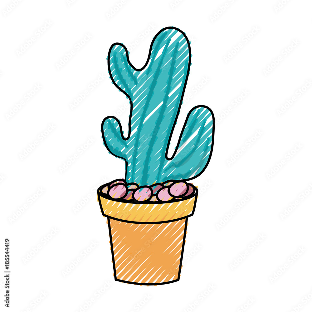 cactus in potted vector illustration cactus in potted vector illustration