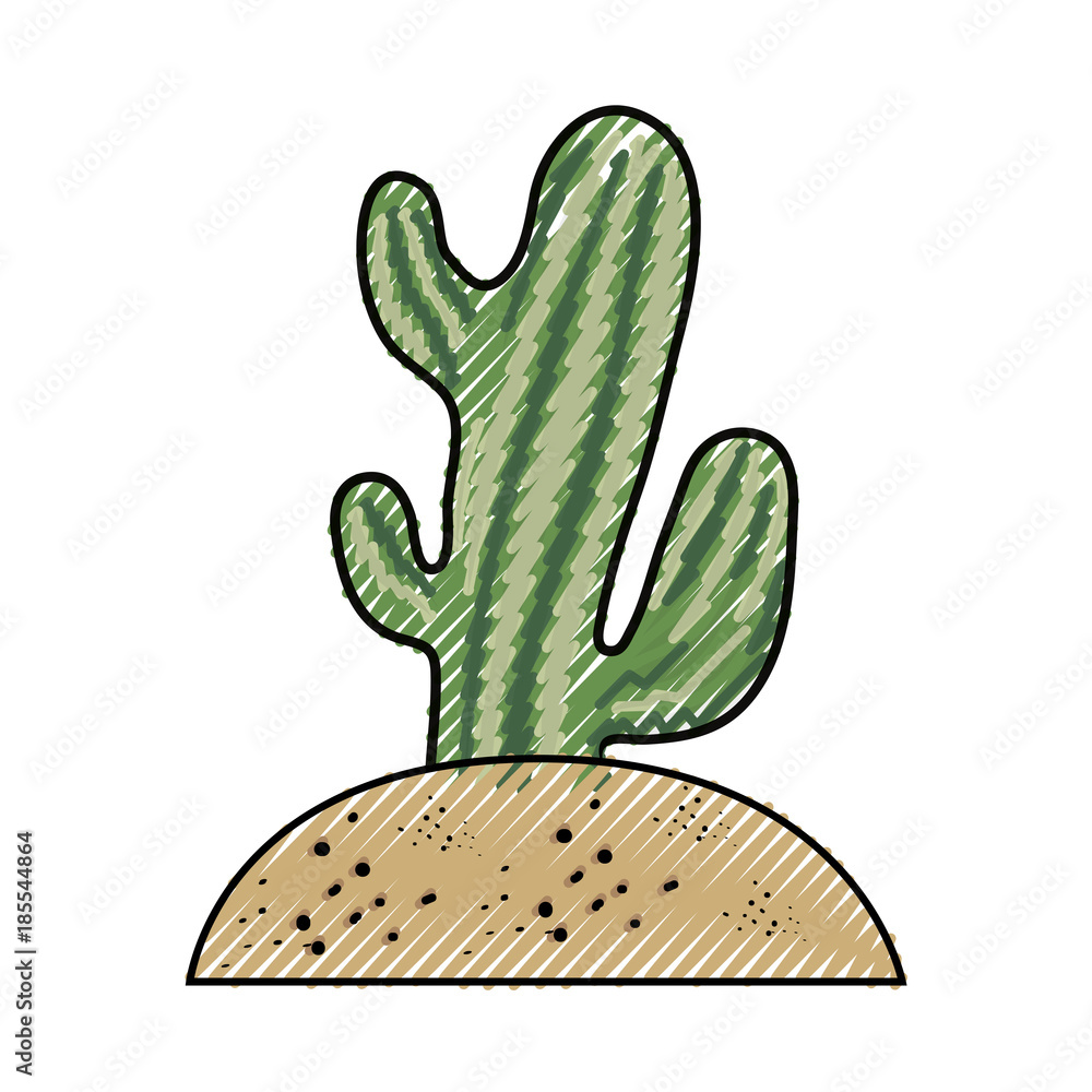 cactus in the soil vector illustration cactus in the soil vector illustration