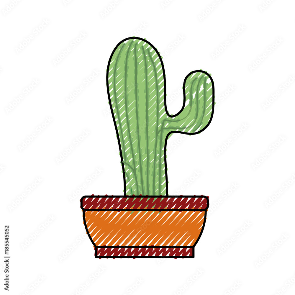 cactus in the potted vector illustration cactus in the potted vector illustration