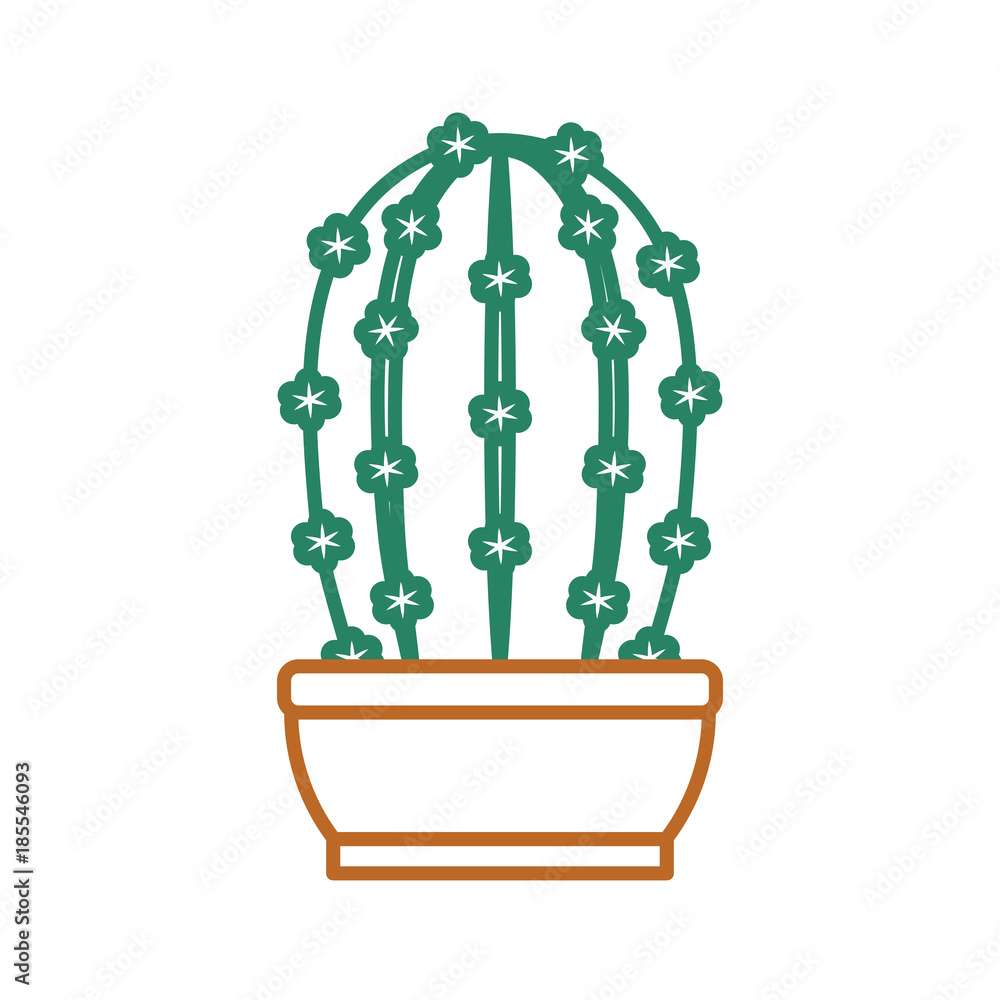 Cactus plant draw