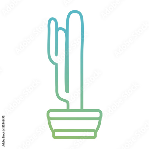 Cactus plant draw