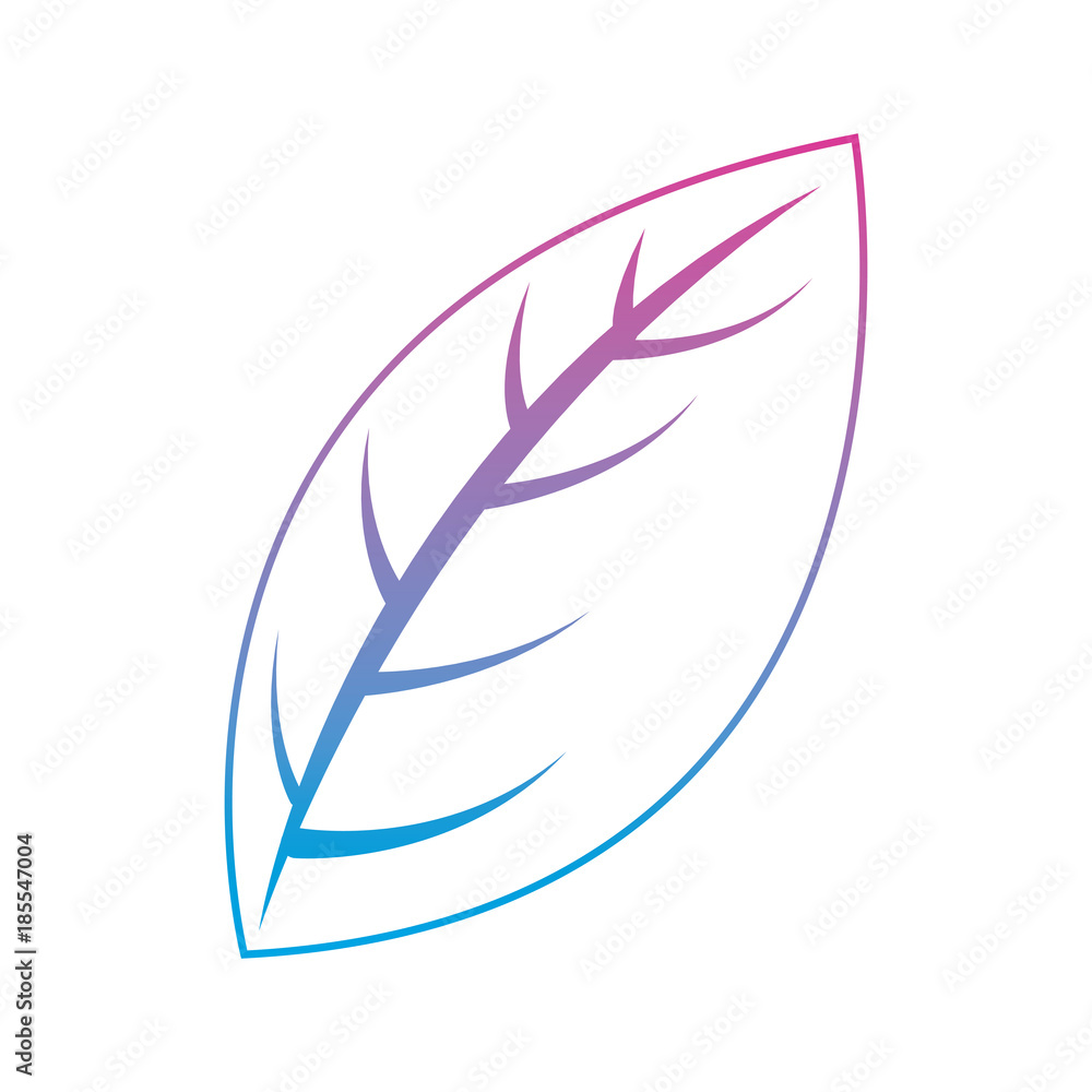 leaf single delicate icon image vector illustration design leaf single delicate icon image vector illustration design