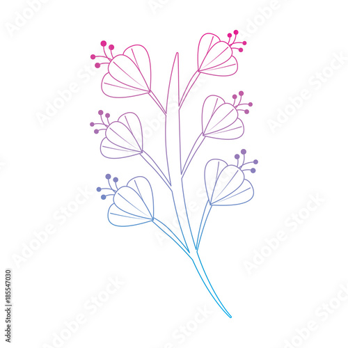 Wallpaper Mural flower single sideview floral icon image vector illustration design  Torontodigital.ca