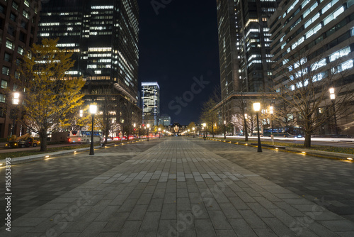 東京駅前行幸通りの夜景 © kyaimu426