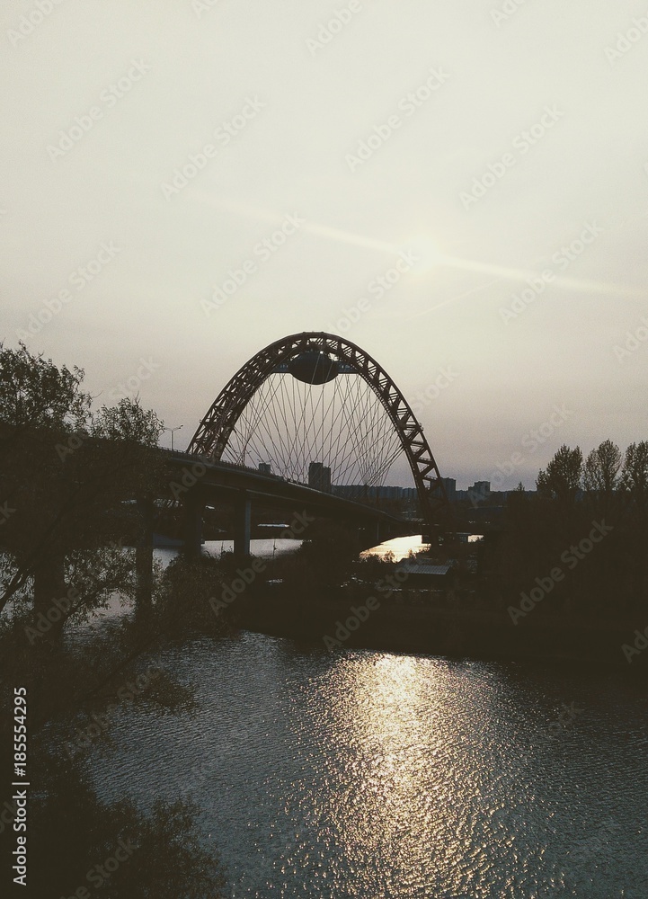 Obraz premium Живописный мост. Москва