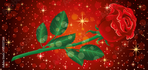 Banner with red rose.