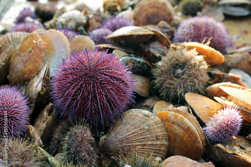 shellfish seafood dry fish in Iceland