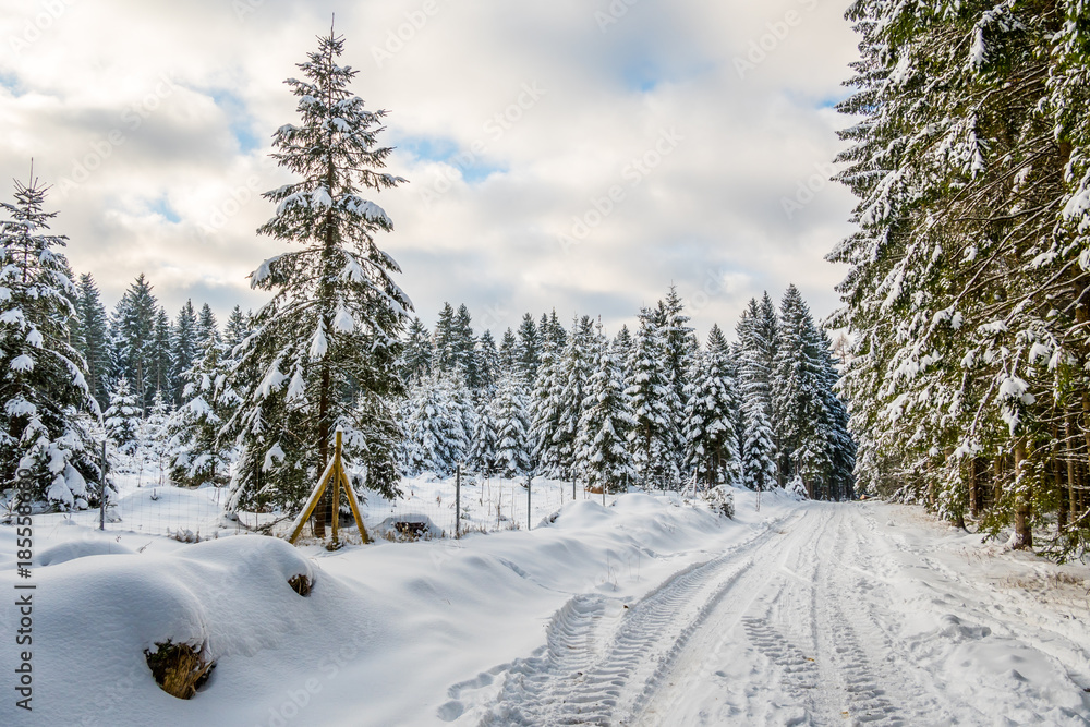 Obraz premium winterlicher Waldweg