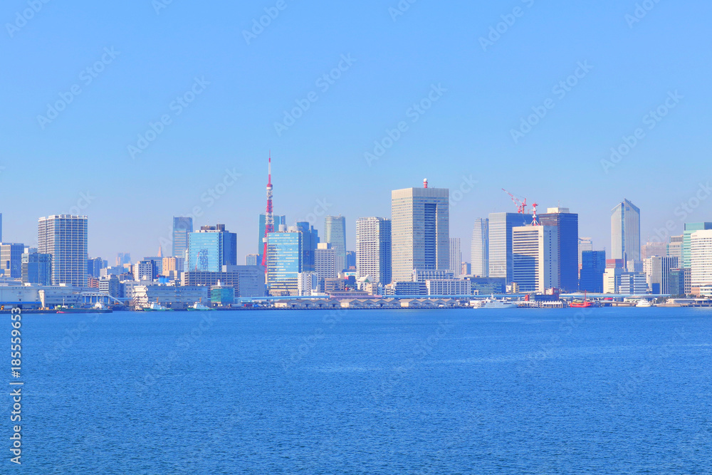 View of Tokyo Bay, Japan