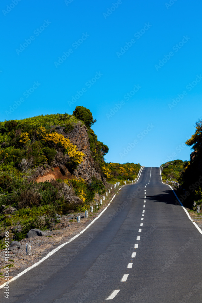 asphalt road through the green field and clouds on blue sky asphalt road through the green field and clouds on blue sky