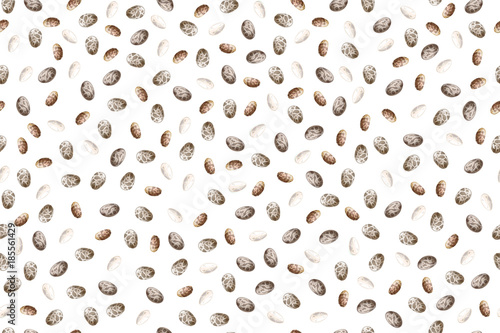 Chia seeds vector seamless pattern