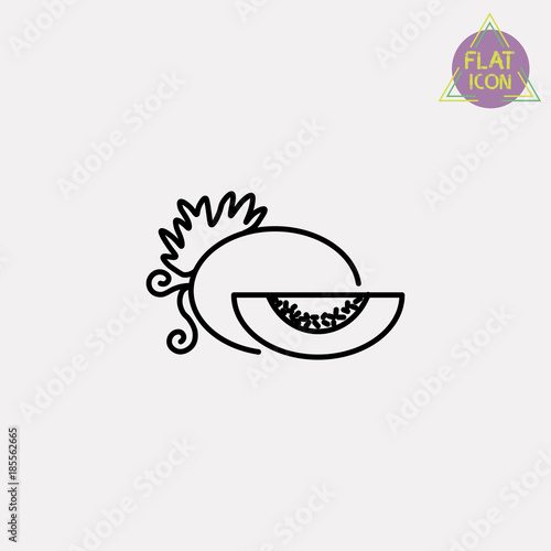 melon line icon