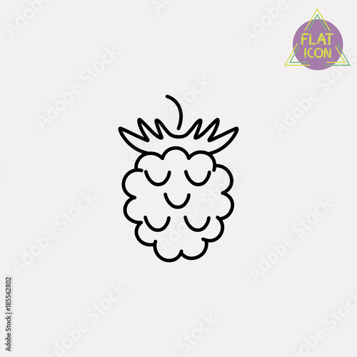 blackberry fruit line icon
