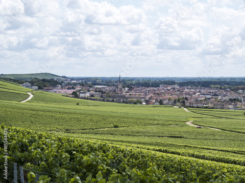 Ay, Champagne, France. Hills covered with vineyards in the wine region of Champagne, France. Moet & Chandon