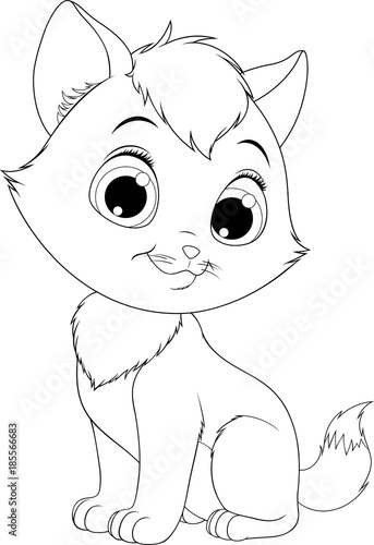 Funny fluffy kitten