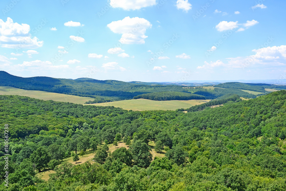 View of Hungarian landscape in summer