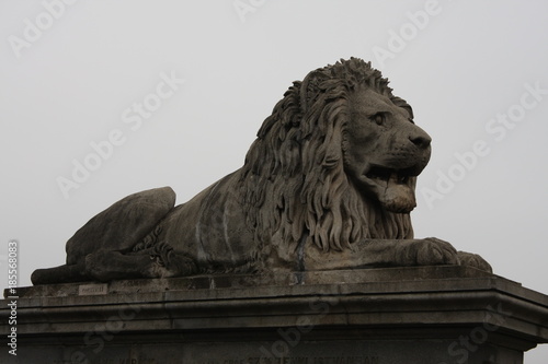 One of the four guardian lions of Chain Bridge in Budapest, Hungary.