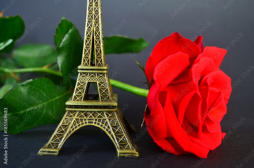 Red rose an the eiffel tower.