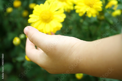 baby girl touching yellow flower by left hand