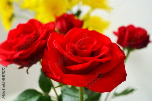 Red roses for valentines day.