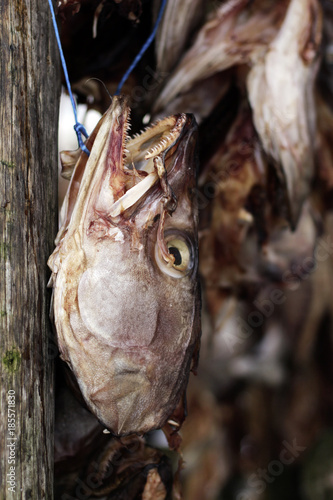 shellfish seafood dry fish in Iceland
