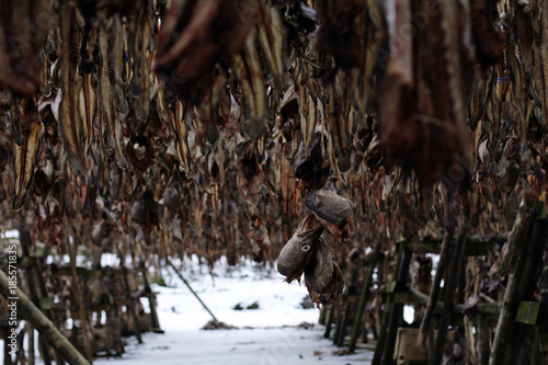 shellfish seafood dry fish in Iceland