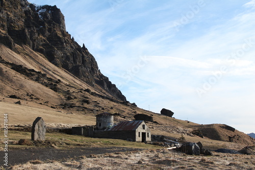Icelandic moss grass in lava mountain landscape