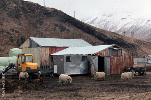 Buildings of old fisher village with fog in Iceland