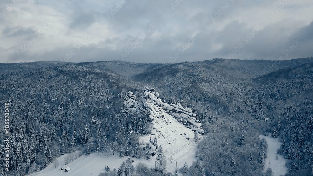 Obraz premium Winter snow trees. aerial view fly over. tustan