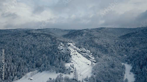 Winter snow trees. aerial view fly over. tustan