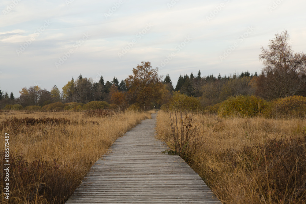 Beim wandern im Hohen Venn kann man hervorragend die Seele baumelen lassen und die wunderbare Natur bestaunen Beim wandern im Hohen Venn kann man hervorragend die Seele baumelen lassen und die wunderbare Natur bestaunen