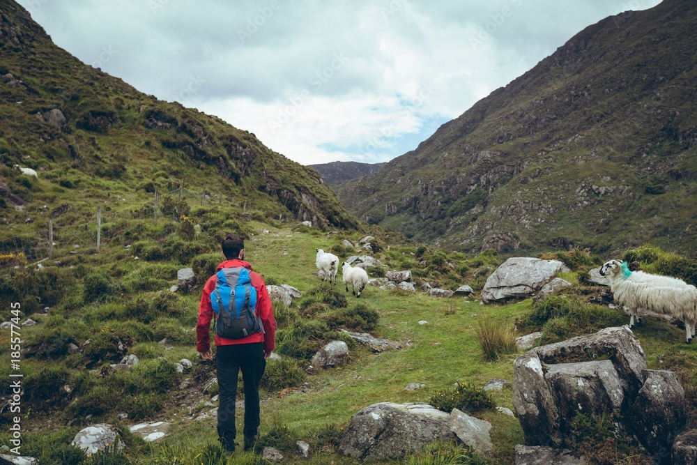 Male hiker with backpack walking on the countryside landscape Male hiker with backpack walking on the countryside landscape