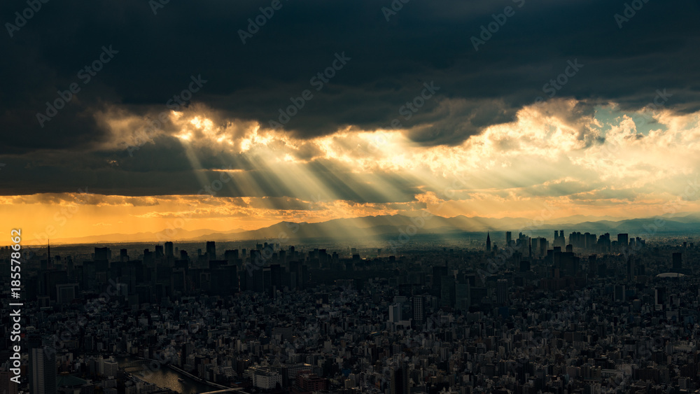 光芒に照らされる東京の都心の風景