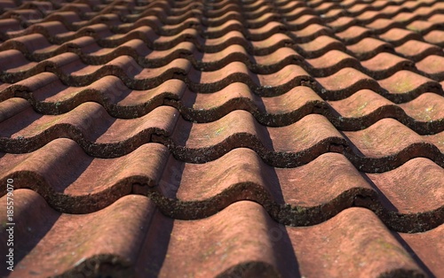 brown patterned Tiled Roof.