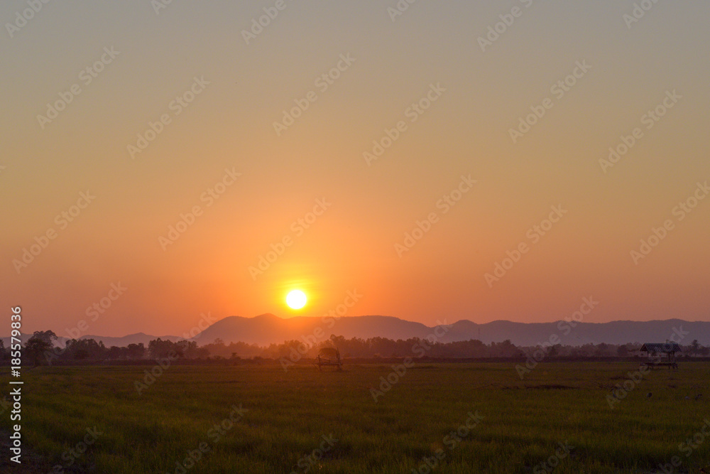 Beautiful sunset landscape and meadow