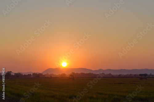 Beautiful sunset landscape and meadow