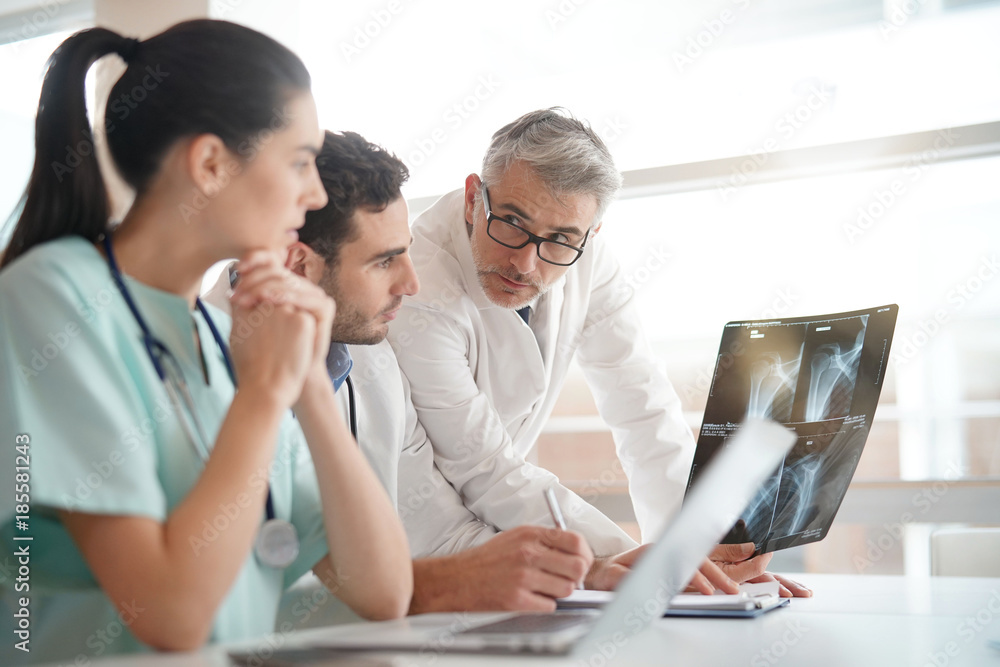 Fototapeta premium Medical team checking Xray results