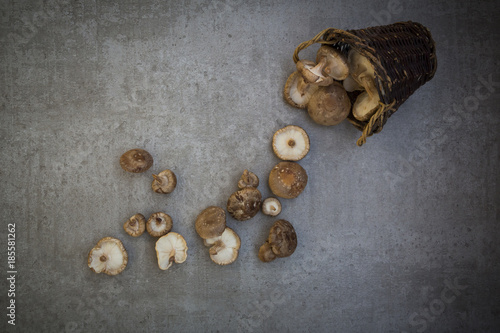 Organic shitake mushrooms in basket and on stone
