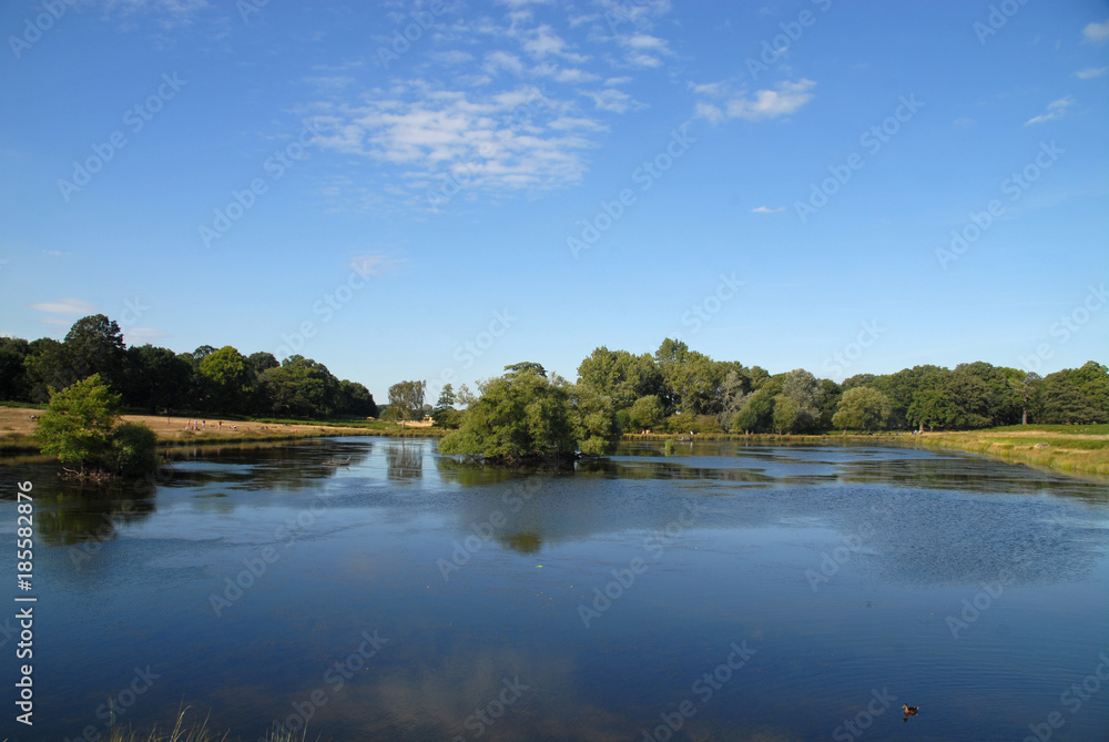 Fototapeta premium Pen Ponds in Richmond Park, Richmond, United Kingdom