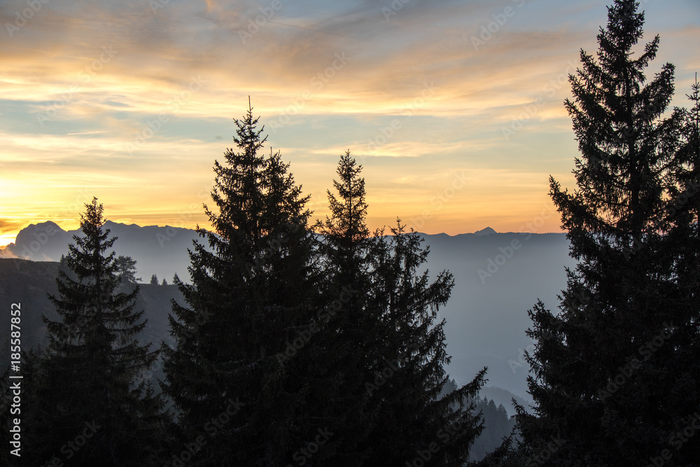 Oranger Sonnenuntergang in den europäischen Alpen mit Tannenarten